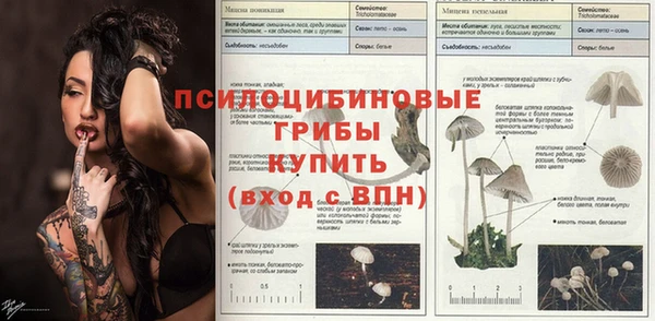 МДПВ Майский