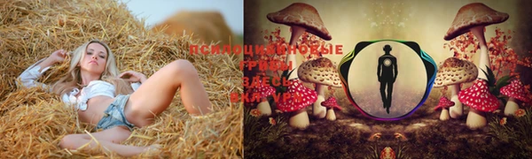 МДПВ Майский