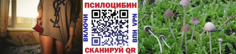 Купить где  Пермь  Псилоцибиновые грибы мицелий 